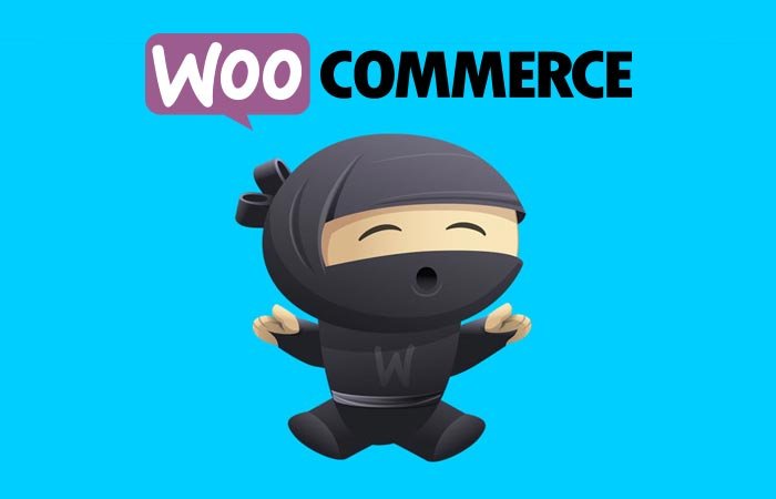 Curso_domicilio_Bogota_WooCommerce_small